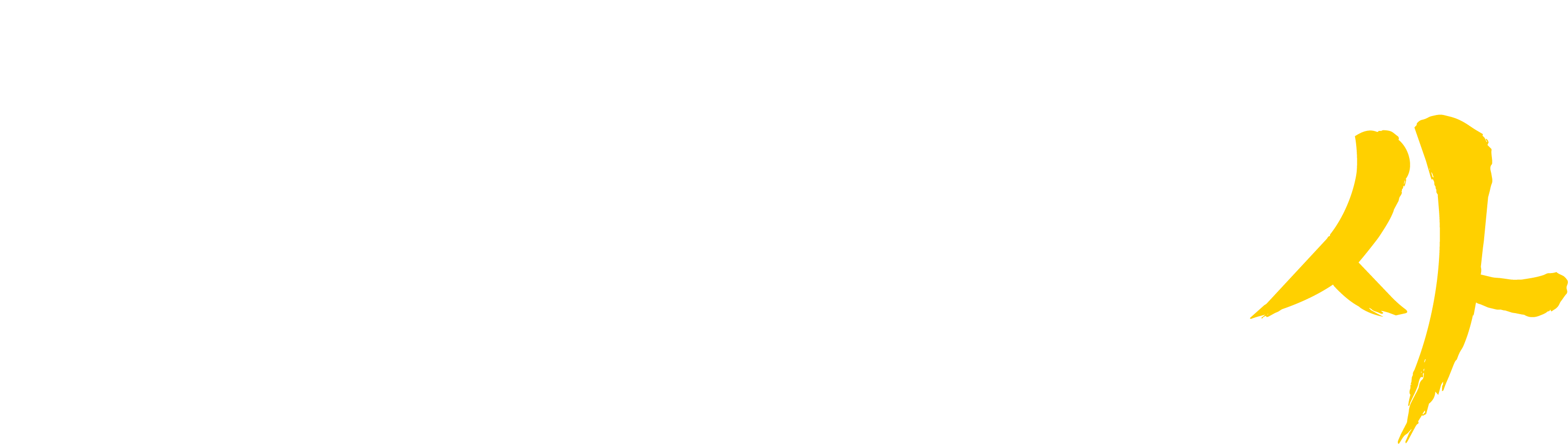 Logo 2